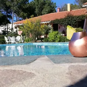 Romangia Bed & Breakfast